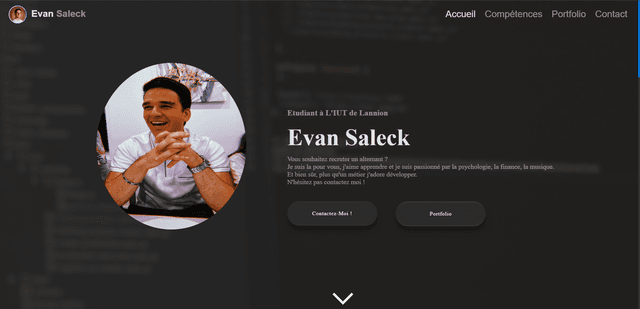 Image du projet Portfolio (v1)